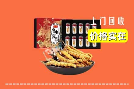 清城区回收冬虫夏草