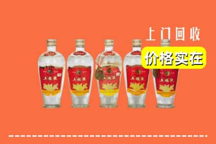 清城区回收老五粮液